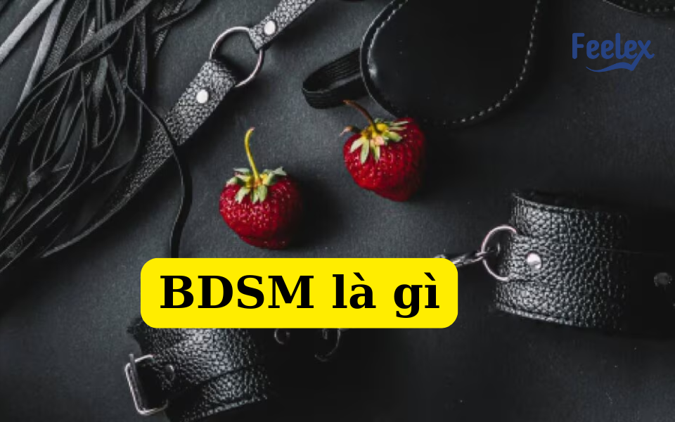BDSM là gì