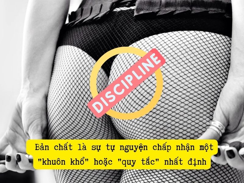 Discipline là gì trong BDSM? TOP 5 tư thế discipline được ưa chuộng nhất! Discipline giúp cuộc chơi thêm gắn kết và thăng hoa
