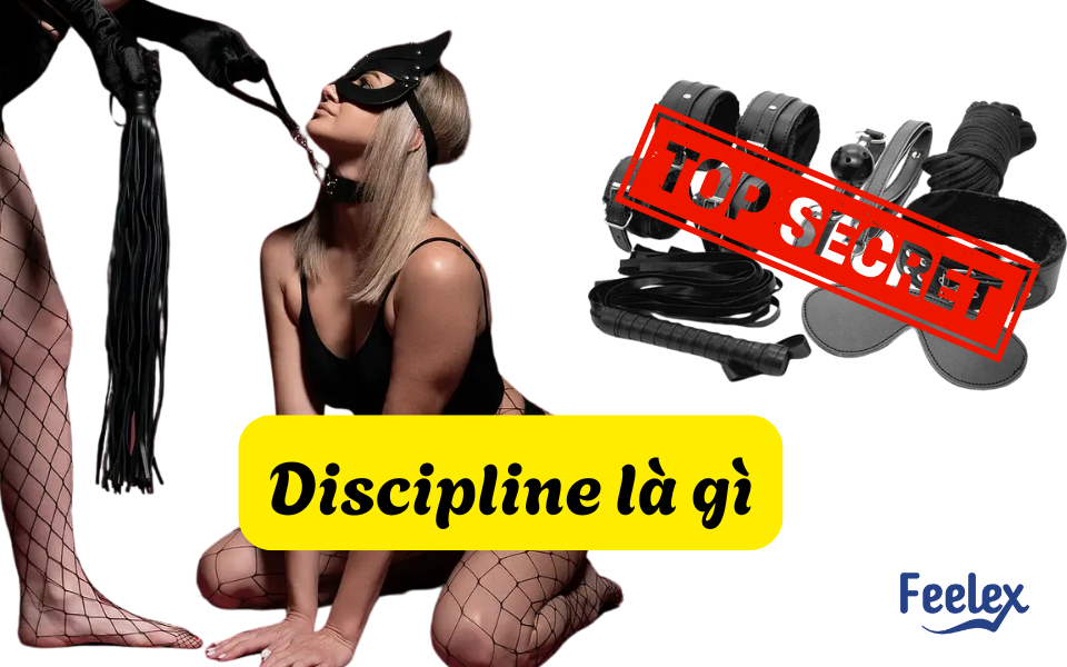 Discipline là gì