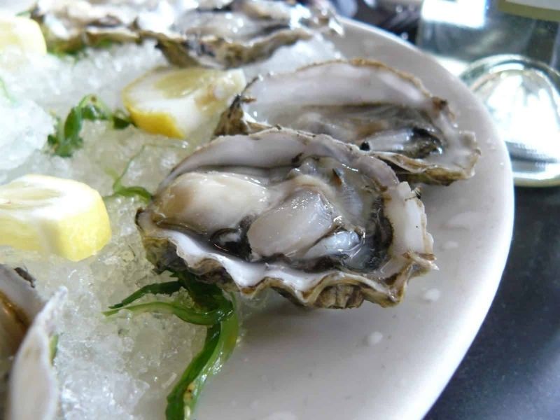 Các loại hàu ở Việt Nam phổ biến – TOP 6 đặc sản thơm ngon bổ dưỡng Hàu sữa Phú Quốc