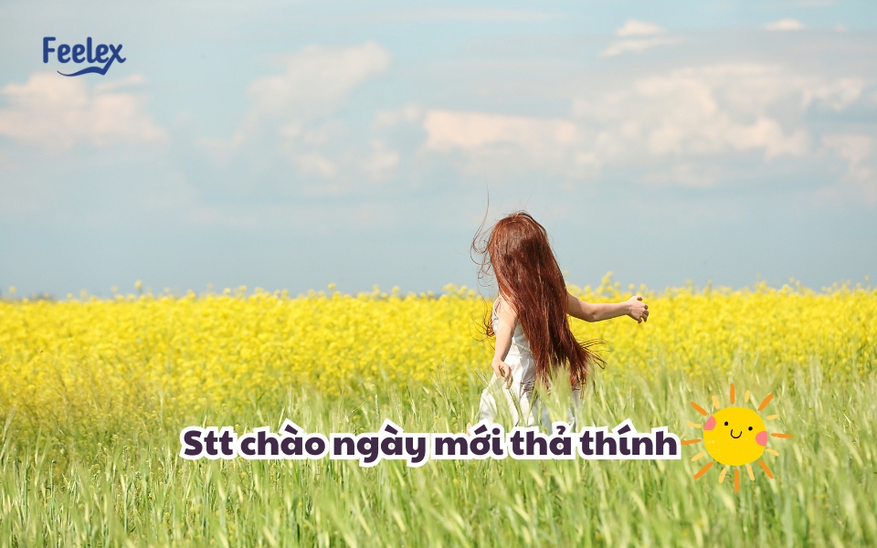 stt chao ngay moi tha thinh