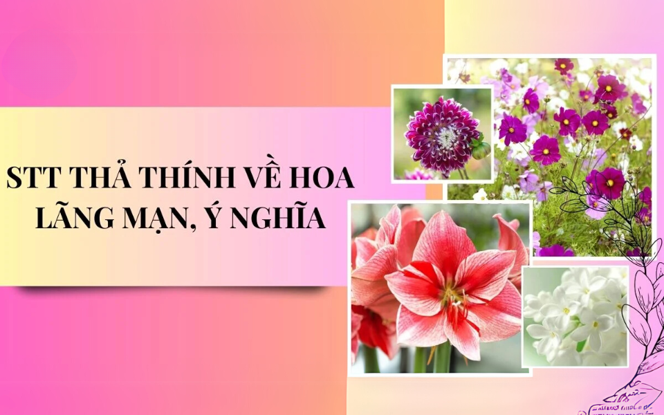 stt thả thính về hoa