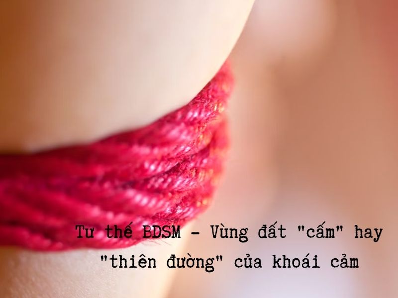 Khoái cảm hay vùng đất cấm khi chọn các tư thế BDSM