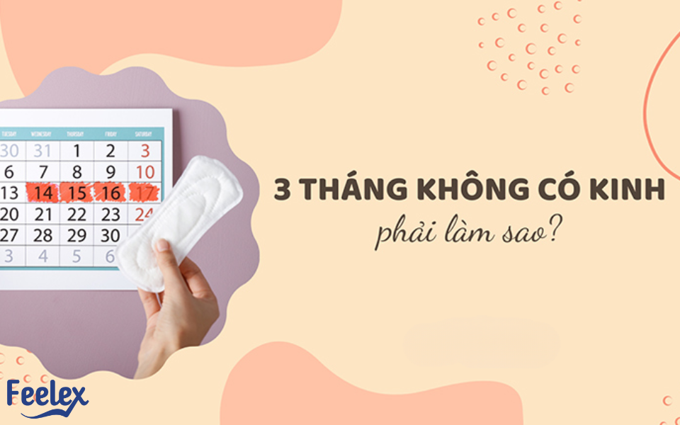 3 tháng không có kinh nguyệt