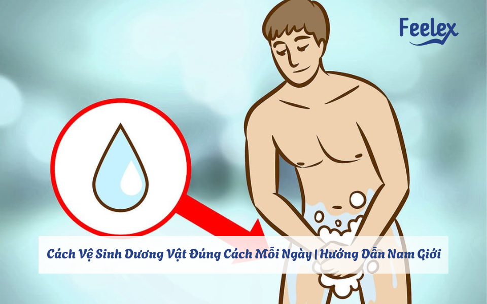 cach ve sinh duong vat