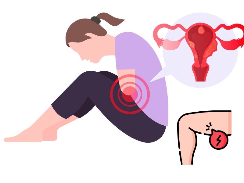 Đau bụng kinh ở vị trí nào? Gợi ý 5 cách giảm đau hàng đầu! Đau bụng kinh ở đùi trong và vùng chậu